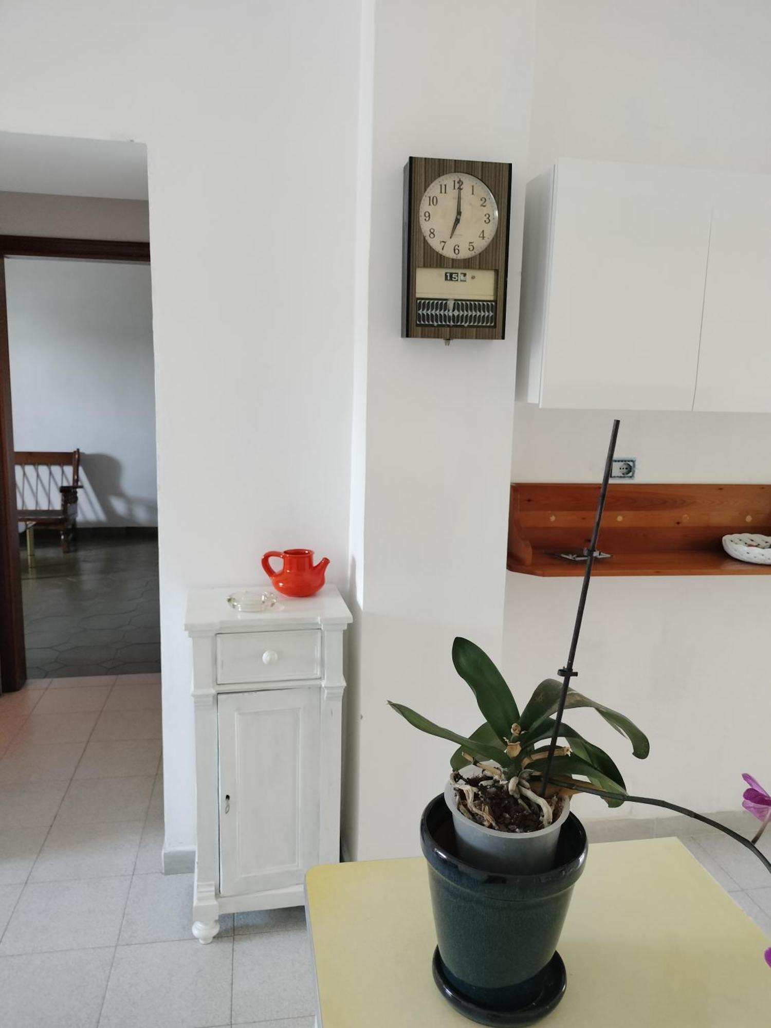 Sunny House Apartment Parghelia Bagian luar foto